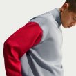 画像2: NIKE SB | FLEECE 1/2-ZIP SKATE SWEATSHIRT - GYM RED / STEALTH (2)