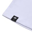 画像3: HELAS | UMB COOG LS TEE - WHITE (3)